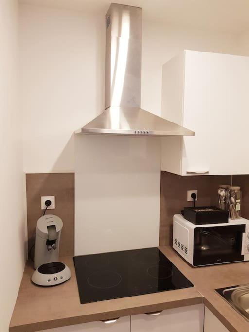 Le Jeanne 4/6 Couchages, Wifi, Sanctuaire Apartment Lourdes Exterior photo